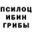 Галлюциногенные грибы ЛСД Brodyaga 54