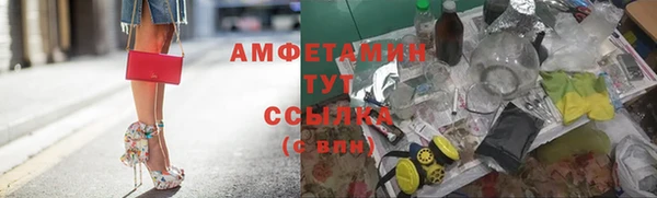 шишки Ростов