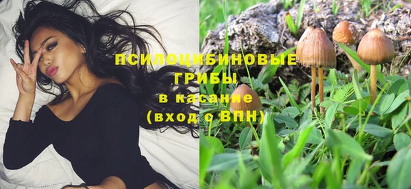 мескалин Вязьма