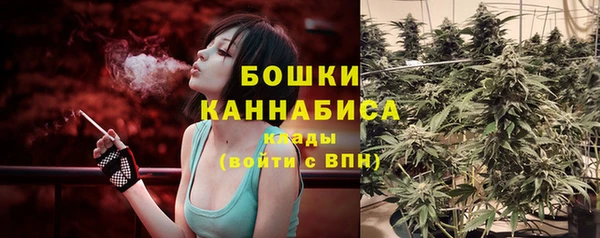 mix Вяземский